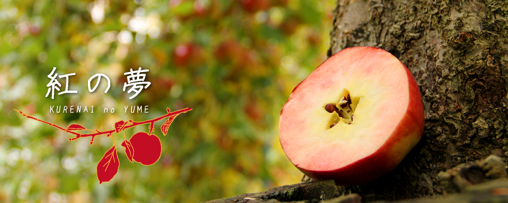 ㈲藤崎冷蔵商会 | 青森りんご「紅の夢」通販販売 安全安心なりんごを 